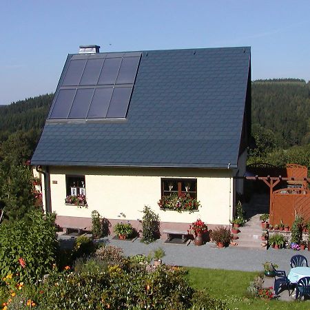 Ferienwohnung Petzold Altenberg Bagian luar foto