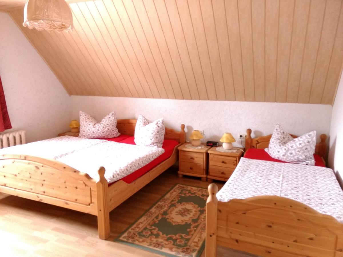 Ferienwohnung Petzold Altenberg Bagian luar foto